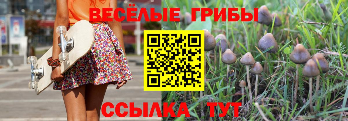 Галлюциногенные грибы мицелий Мелеуз