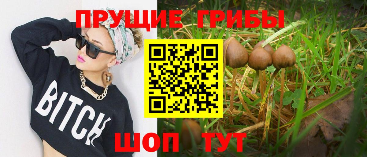 Мелеуз  Псилоцибиновые грибы GOLDEN TEACHER  даркнет сайт  Вход с VPN 
